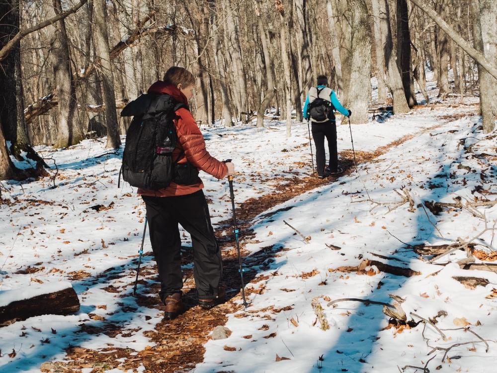 Zpacks Carbon Fiber Trekking Pole bâton carbone mousse ultraléger