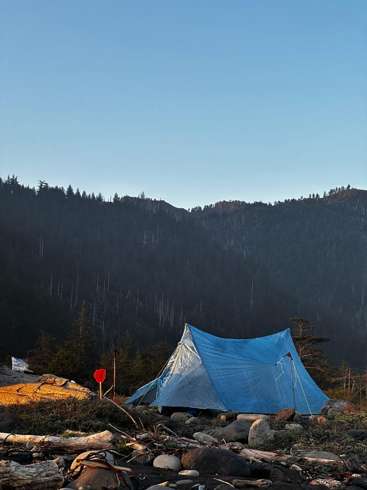 Zpacks Offset Trio Tent tente 3 places Olive Drab ultralégère