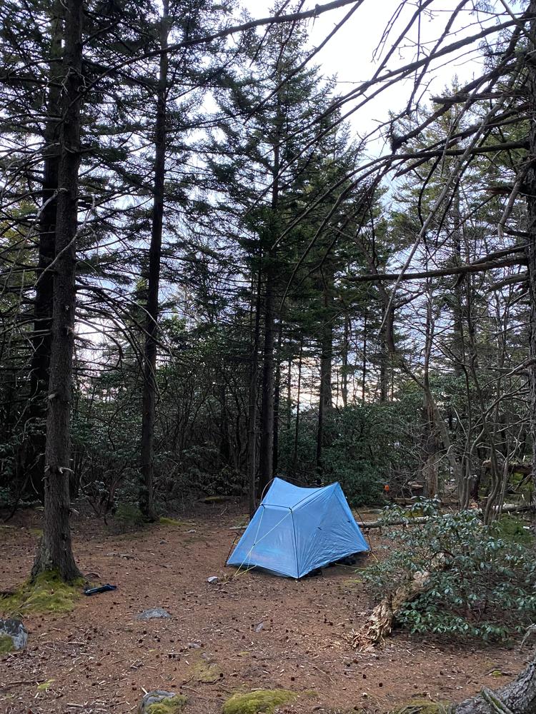 Zpacks Shelters Free Duo tente 2 personnes Olive Drab freestanding