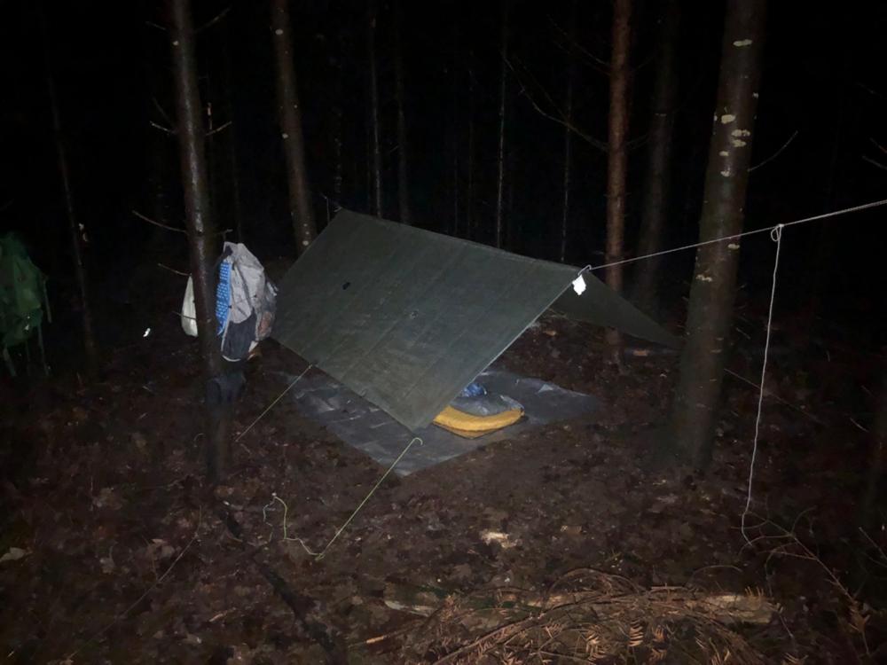 Zpacks Flat Tarp 8.5x10 tarp plat Olive Drab léger