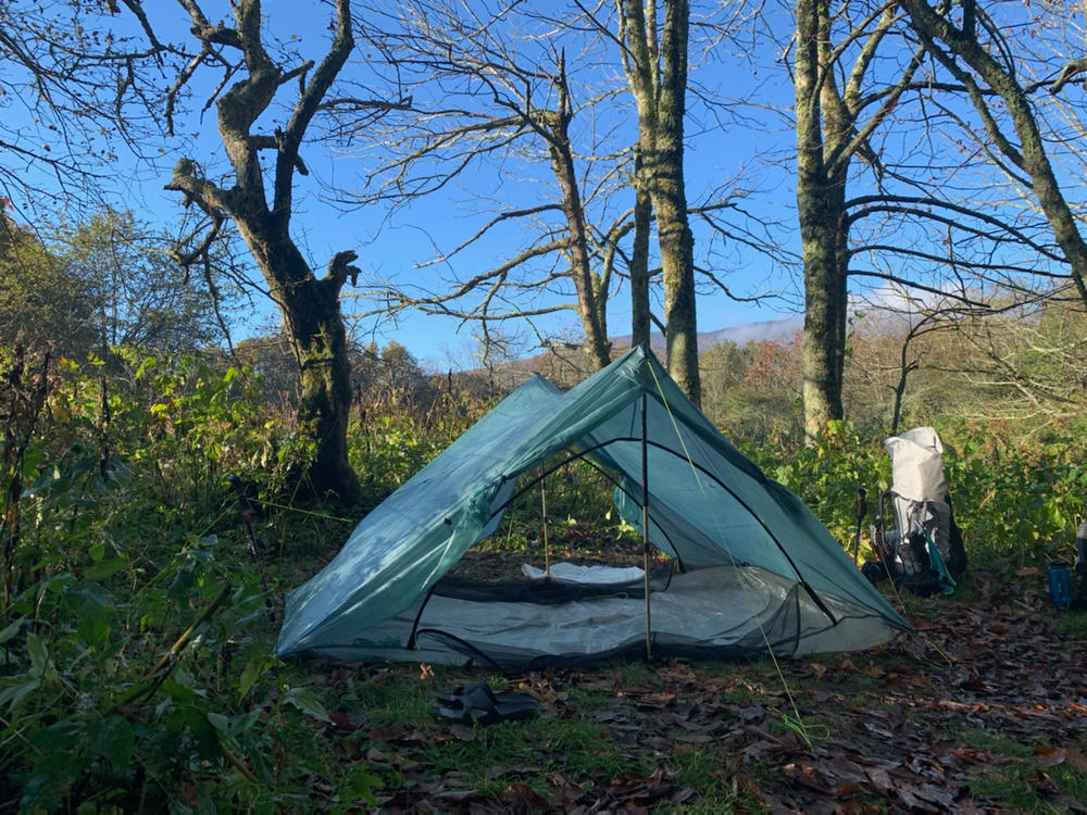 Zpacks Duplex Classic Tente 2 Places Vert Épicéa Bâtons