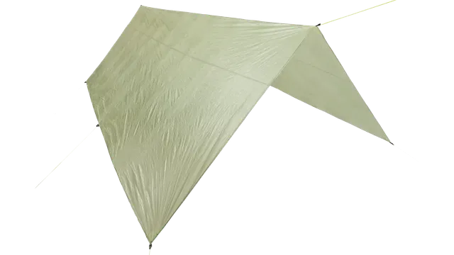 Zpacks Flat Tarp Bâche 10'x13' Olive Drab