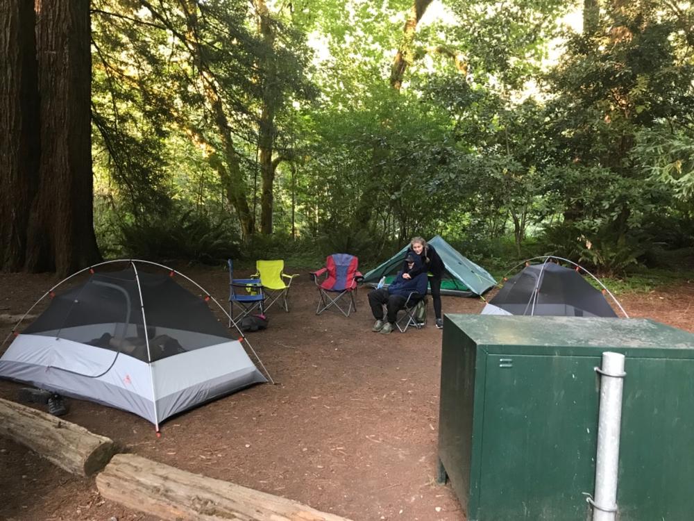 Zpacks Duplex Classic Tente 2 Places Vert Épicéa Bâtons