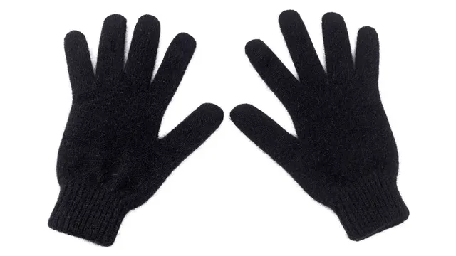 Zpacks Brushtail Possum Gants tactiles XL