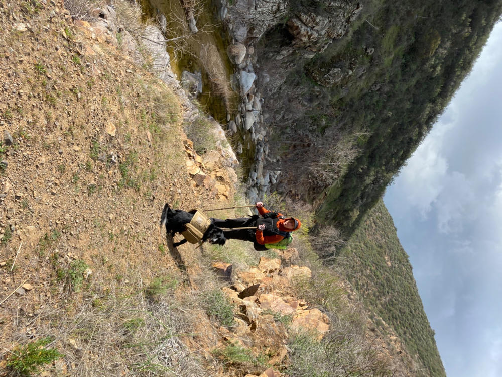 Zpacks Arc Haul 62L sac à dos Noir cadre trek long